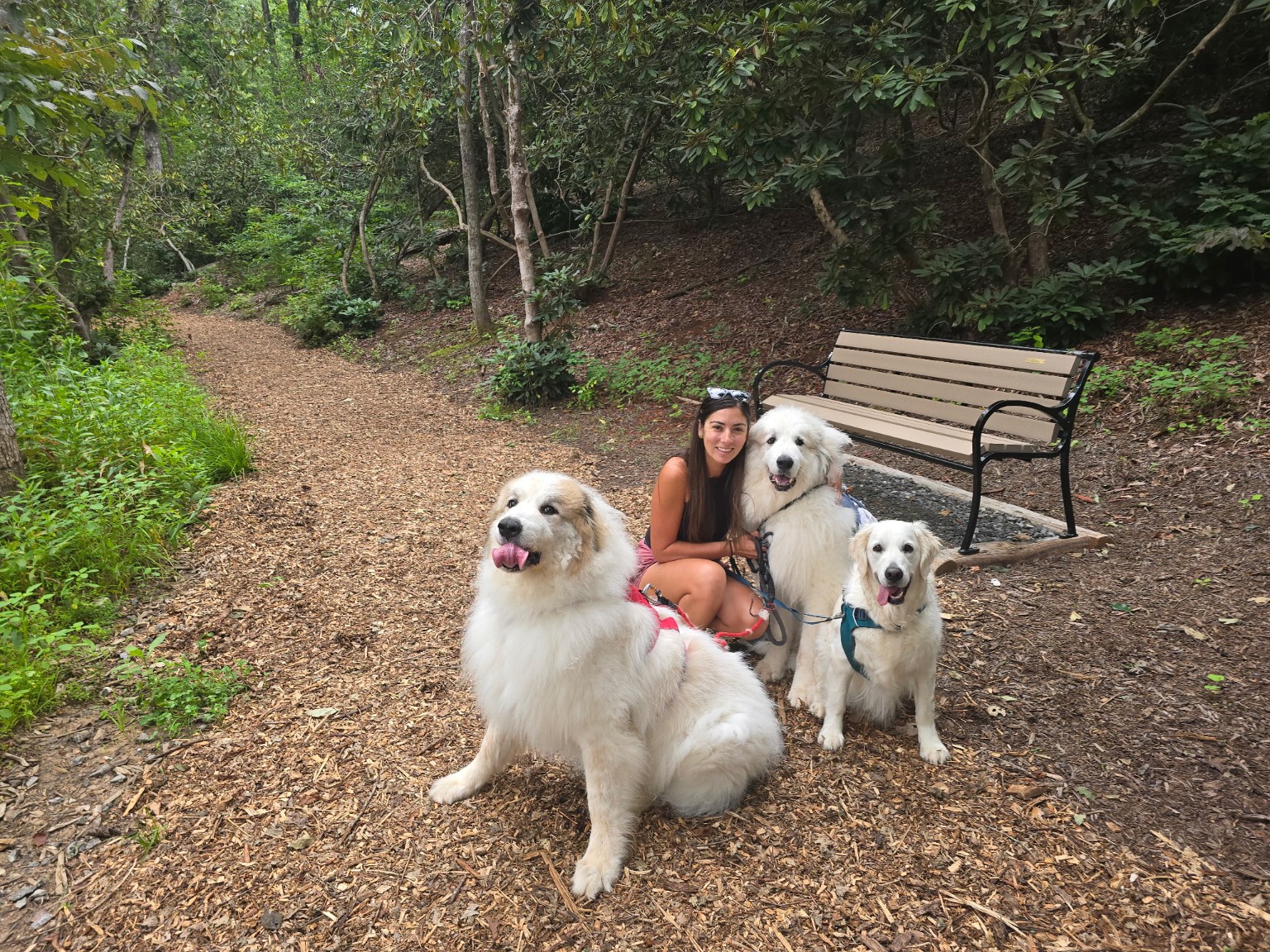 Alexis Urban outdoors on a wooded trail with three dogs